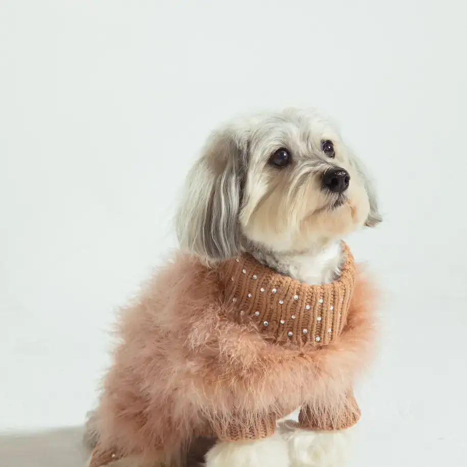 Christian Cowan X Max Bone Gemstone Jumper For Dogs