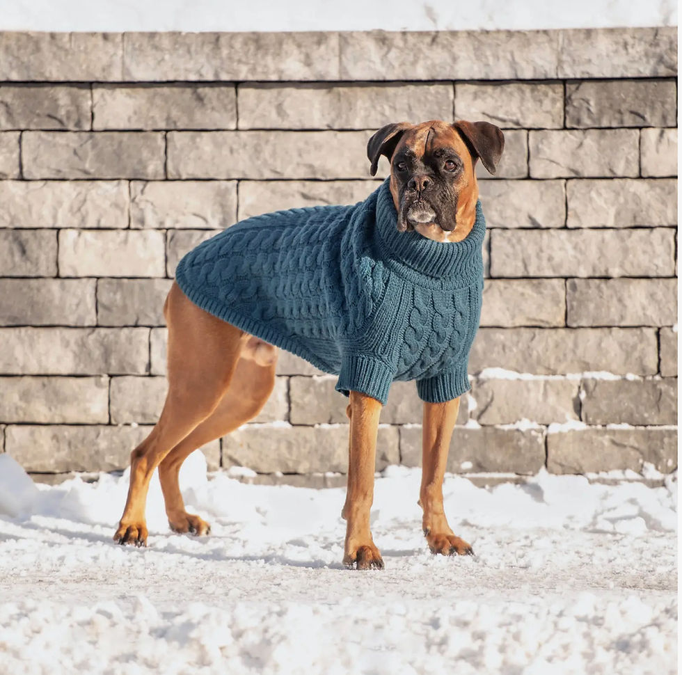Thumbnail: GF PET Chalet Sweater 