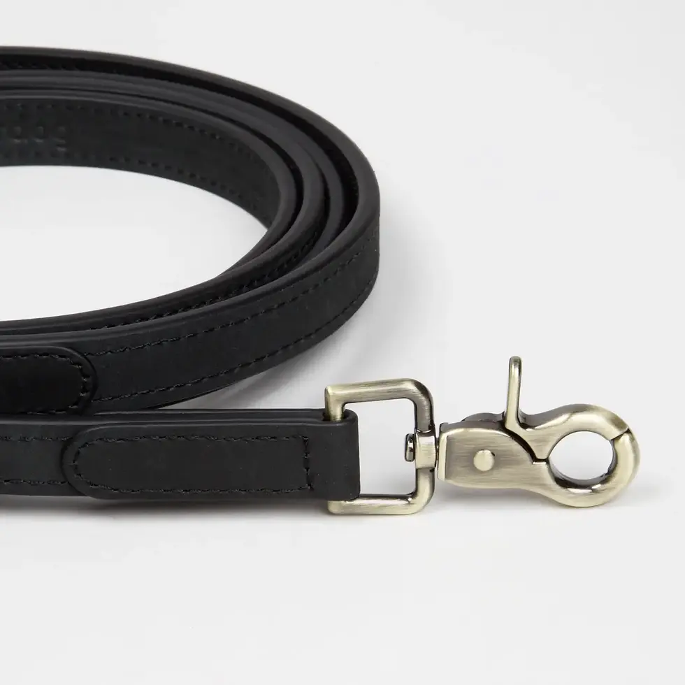 Thumbnail: Thomas Dog Leash Coal