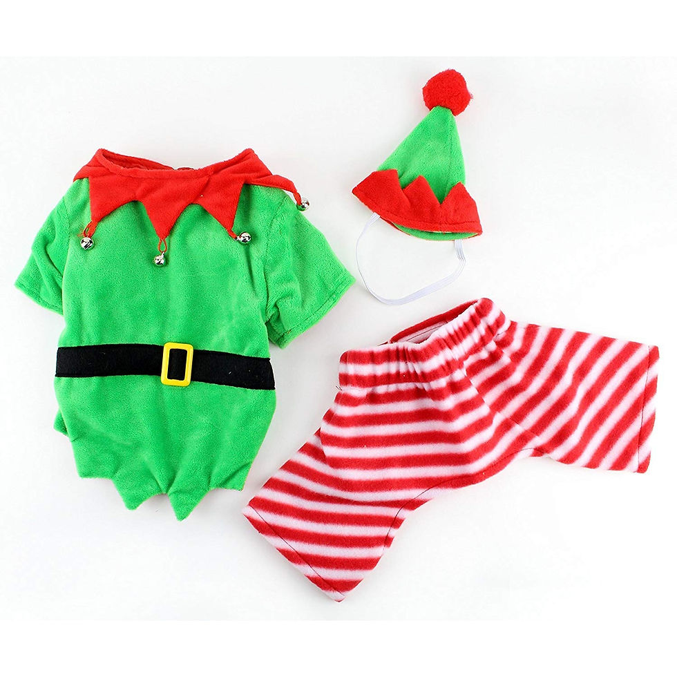 Thumbnail: ELFING ABOUT DRESS UP COSTUME
