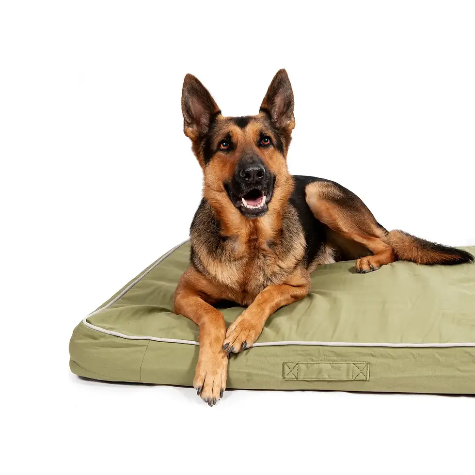 Outdoor Dog Bed by Midlee