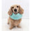 Thumbnail: INFINITY DOG SNOOD