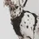 Thumbnail: Dog Harness, Gala by Cafide 