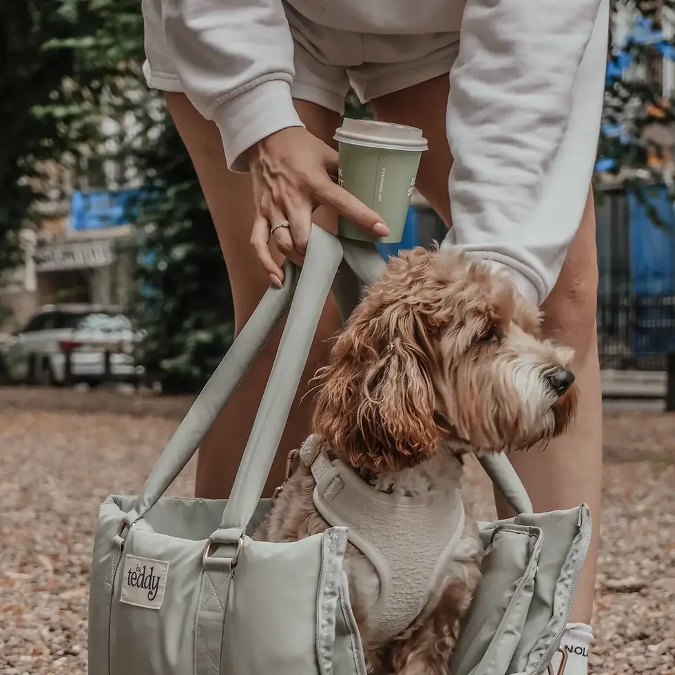 Matcha┃the Puffer Carrier