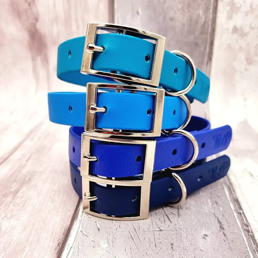 Thumbnail: Waterproof BioThane® Dog Collar
