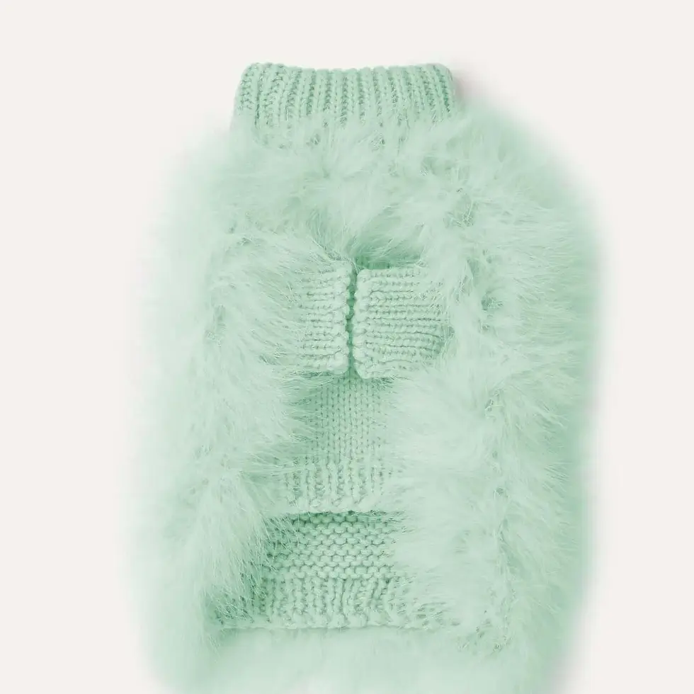 Thumbnail: Christian Cowan X Max Bone  Dog Jumper