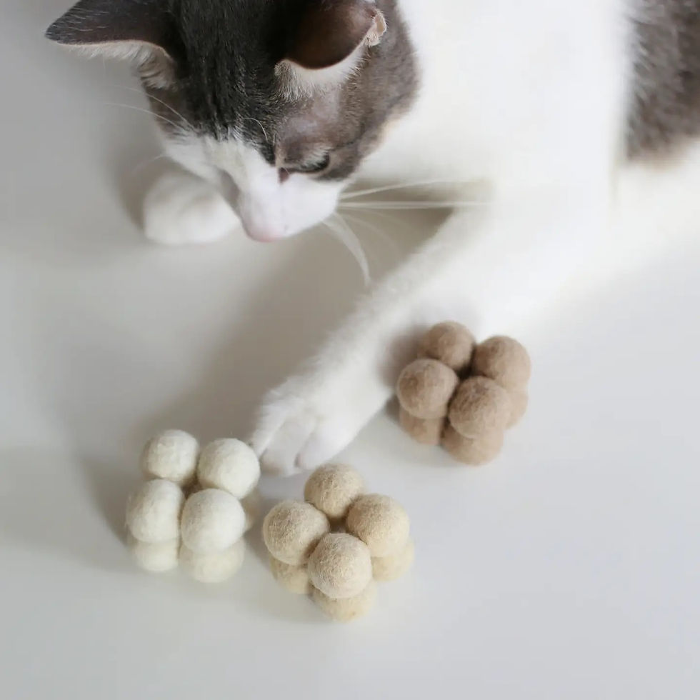Thumbnail: Pearl Enrichment Toys