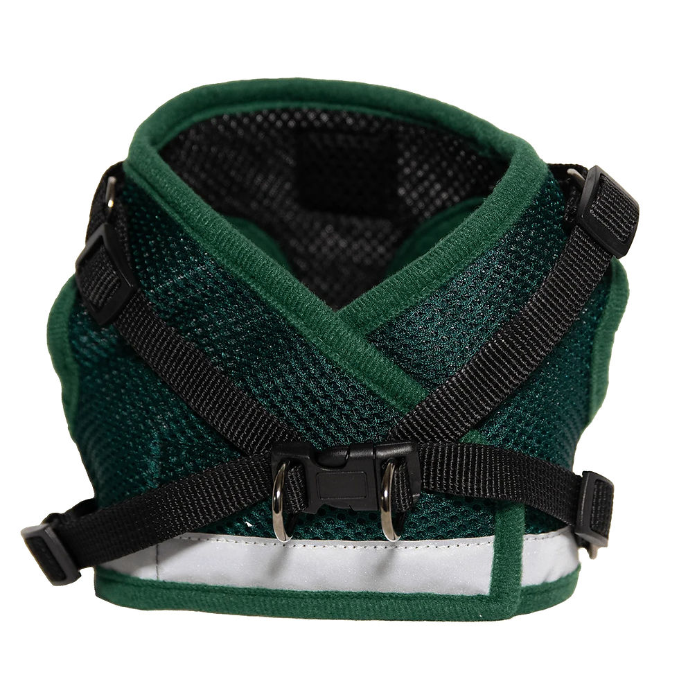 Thumbnail: THE TRUE ADVENTURER" REFLECTIVE CAT & KITTEN HARNESS AND LEASH