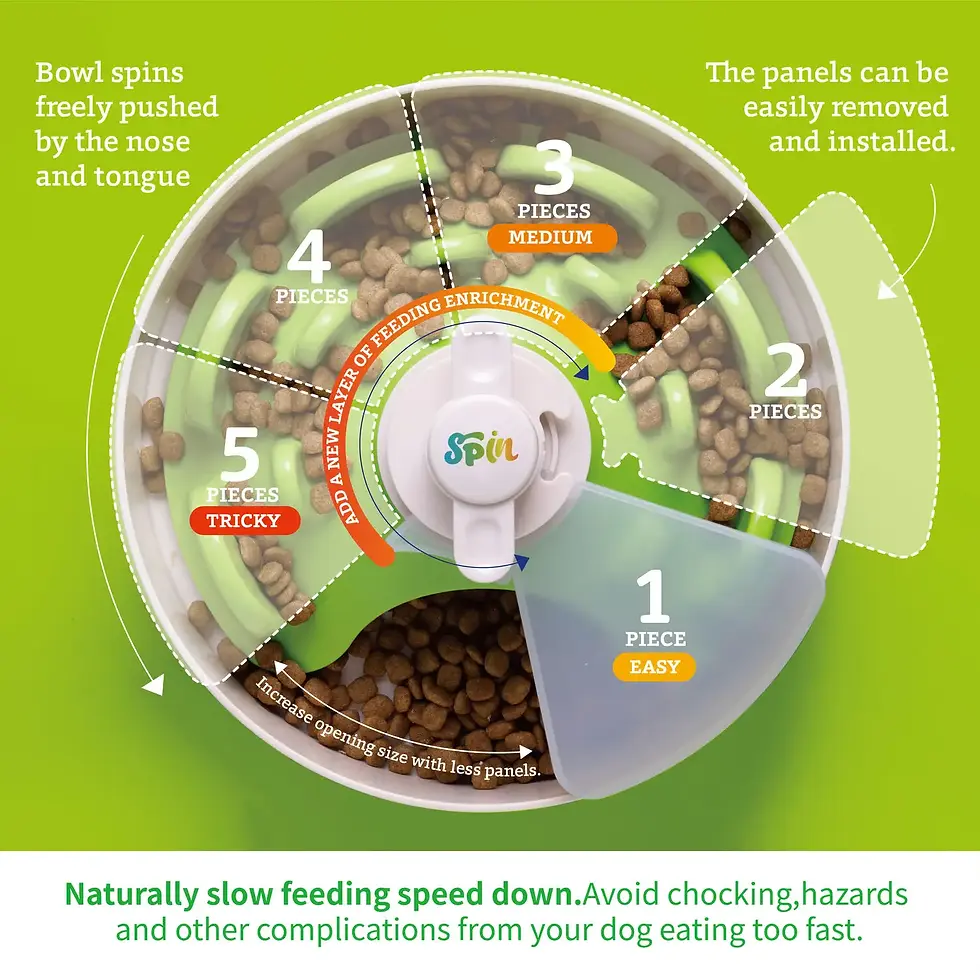 SPIN Interactive Feeder Twister Lid by Pet Dream House