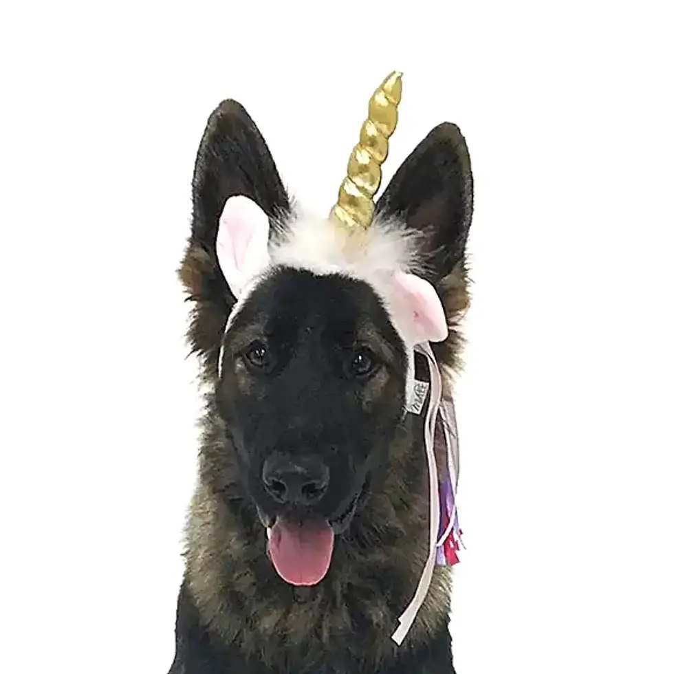 Midlee Dog Unicorn Headband Halloween Costume