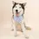 Thumbnail: Seaside Dog Bandana