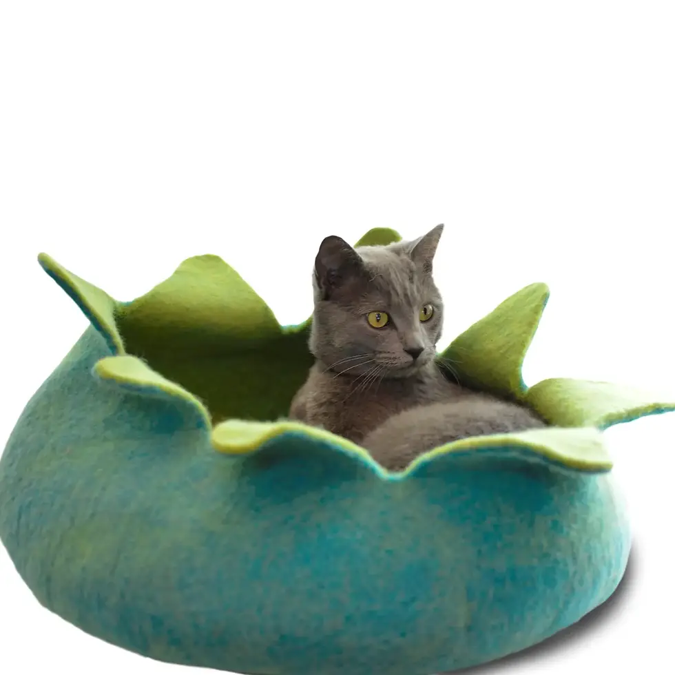 Thumbnail: Natural Petal Wool Pet Basket