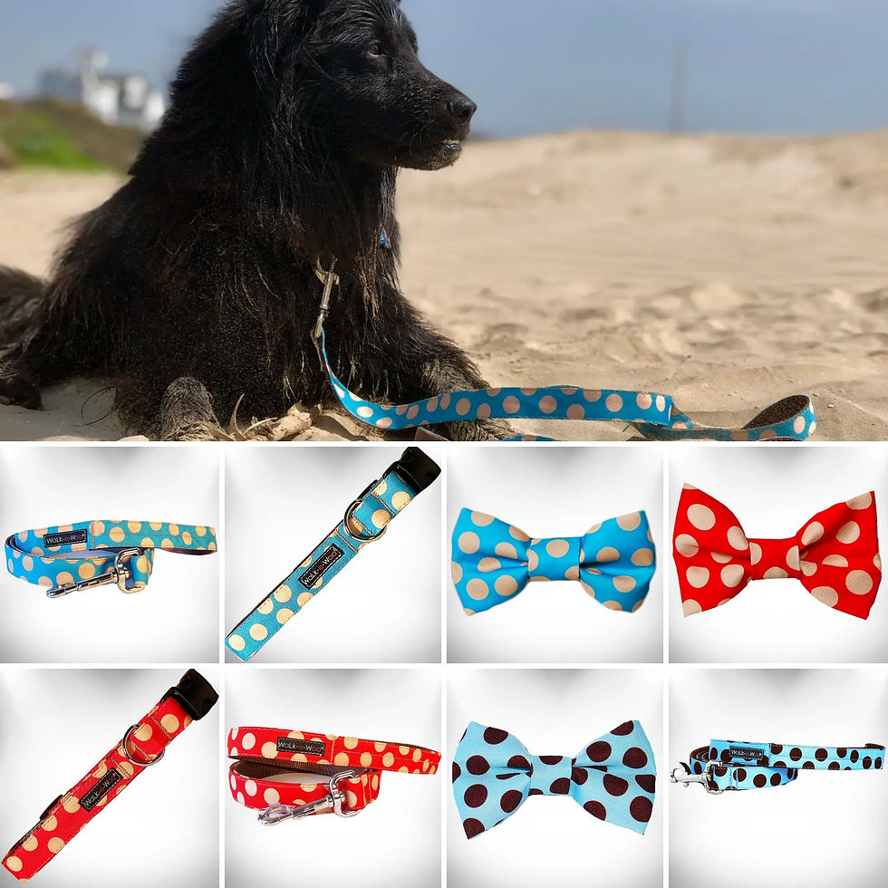 SPOT COLECTION -COLLAR - LEAD & BOW - By Walk-e-Woo