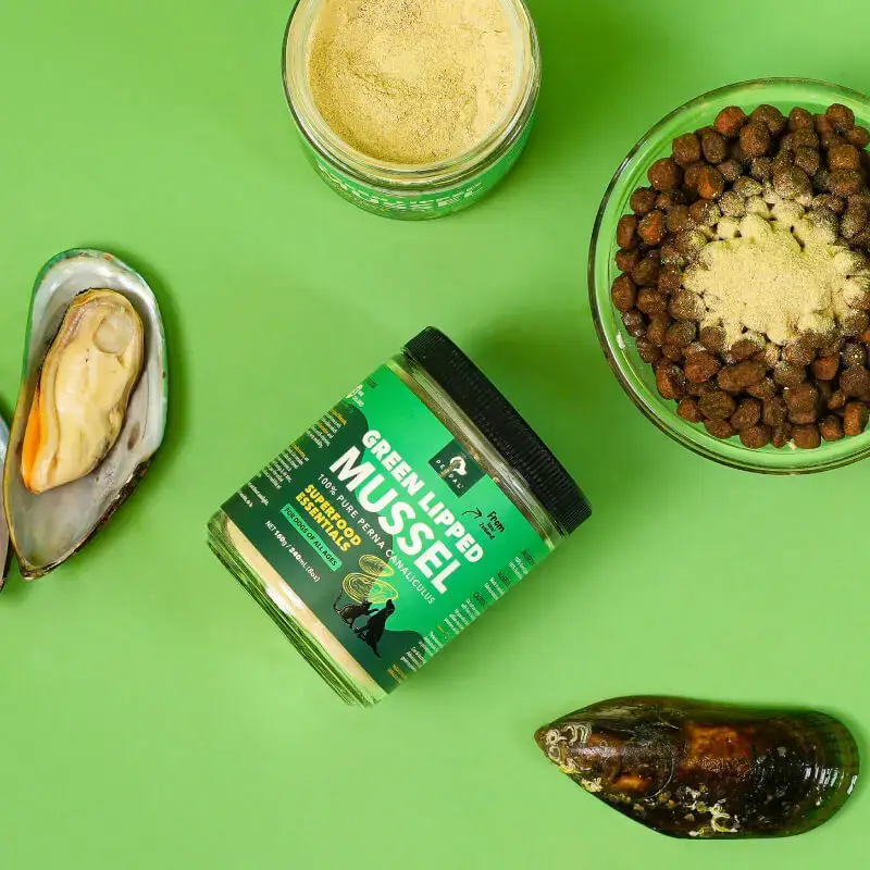 Thumbnail: New Zealand Green Mussel Powder For Dogs - Pet Supplement