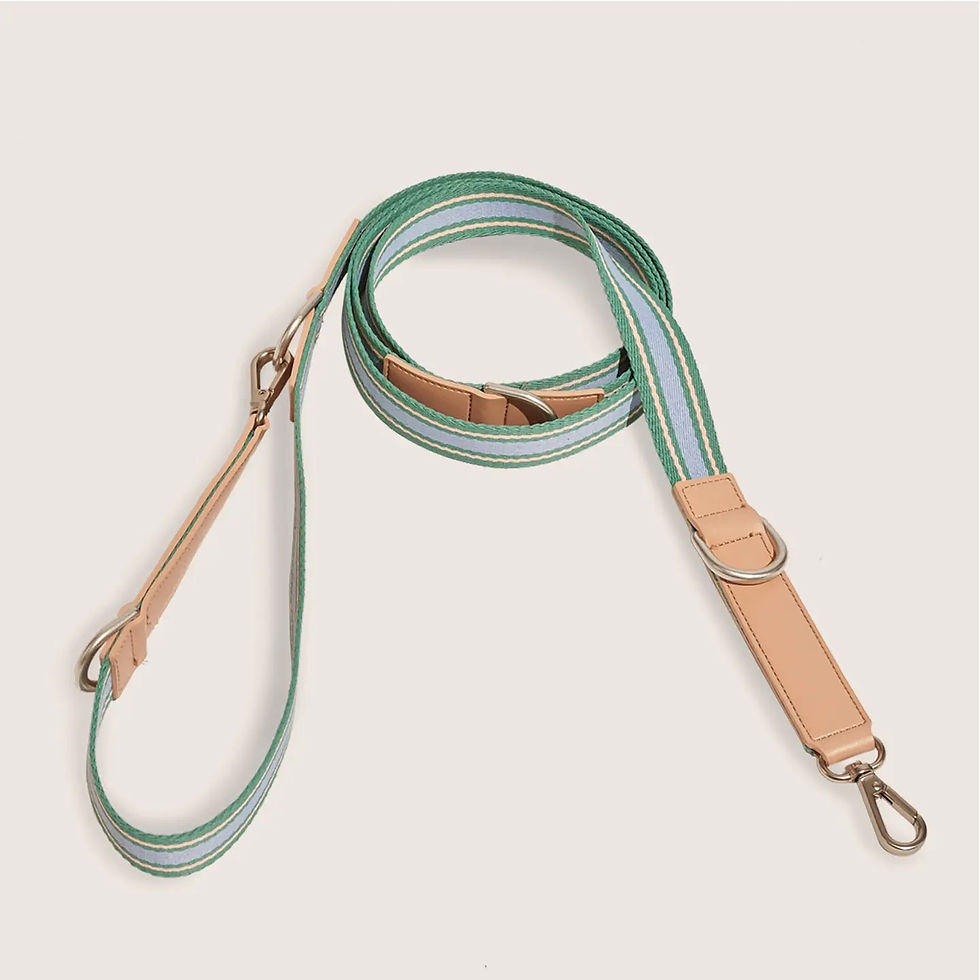 Thumbnail: Recycled Polyester + Vegan Leather Dog Leash Trix