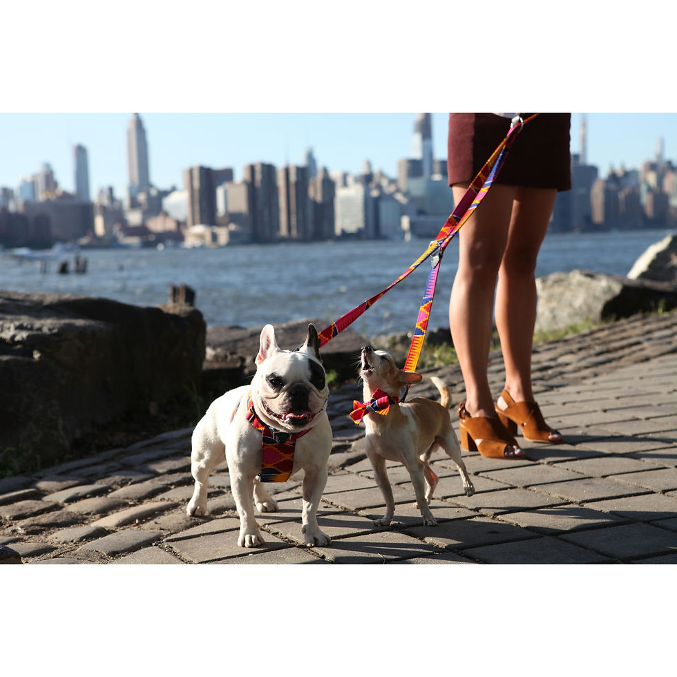 CAFE LEAD - By Hiro & Wolf