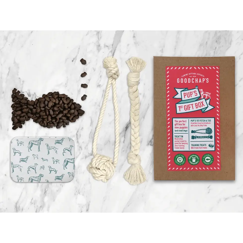 Thumbnail: Pup's 1st Gift Box gifting for dogs