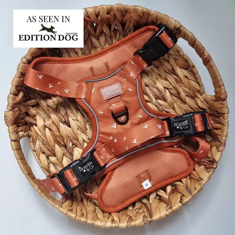 Thumbnail: 3-Point Adjustable Harness 