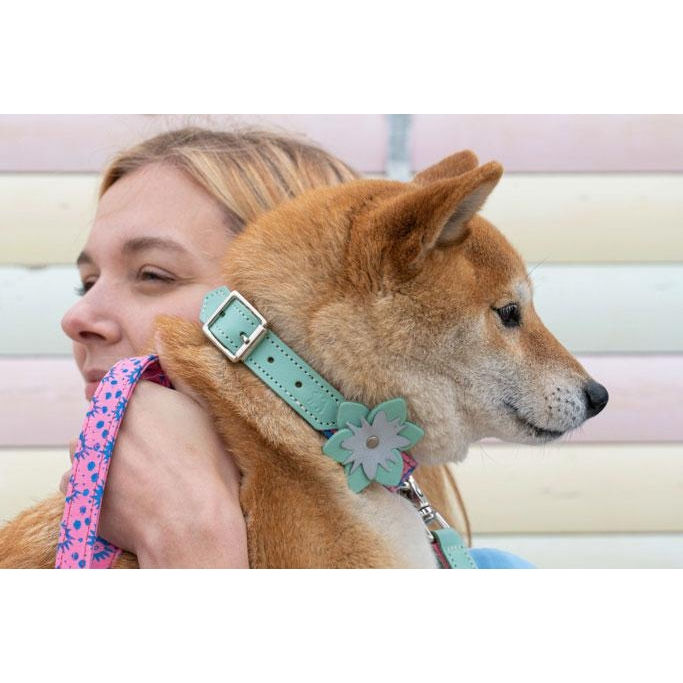 Thumbnail: REFLECTIVE COLLAR FLOWERS - By Hiro & Wolf