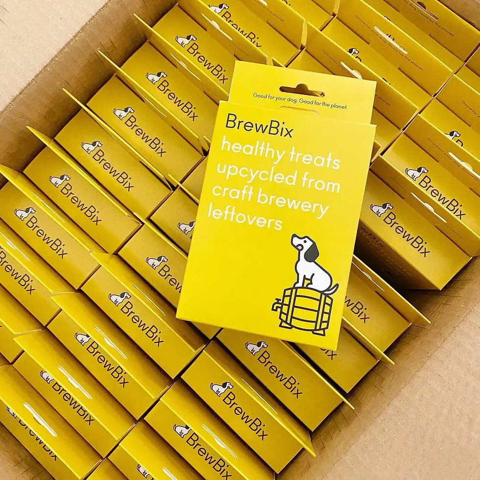 100g BrewBix Peanut Butter Dog Biscuit Box