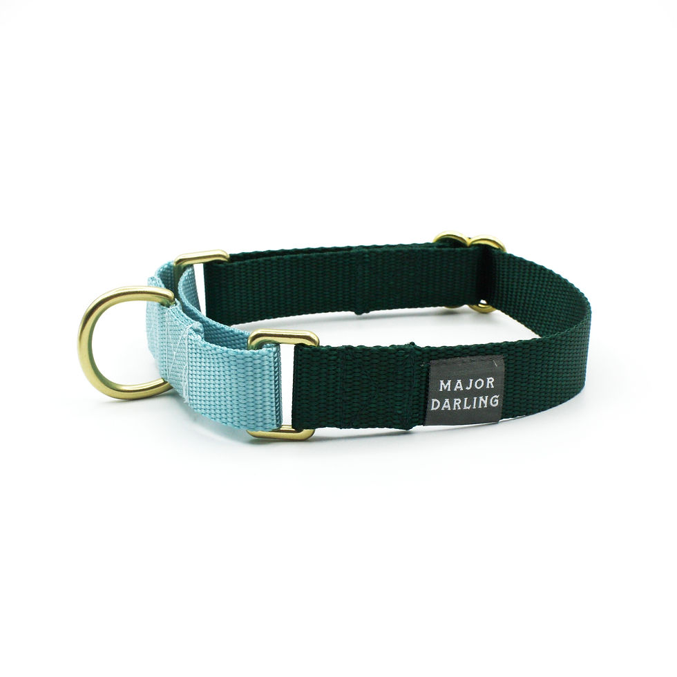 Thumbnail: STUNNING MARTINGALE COLLARS - By Major Darling