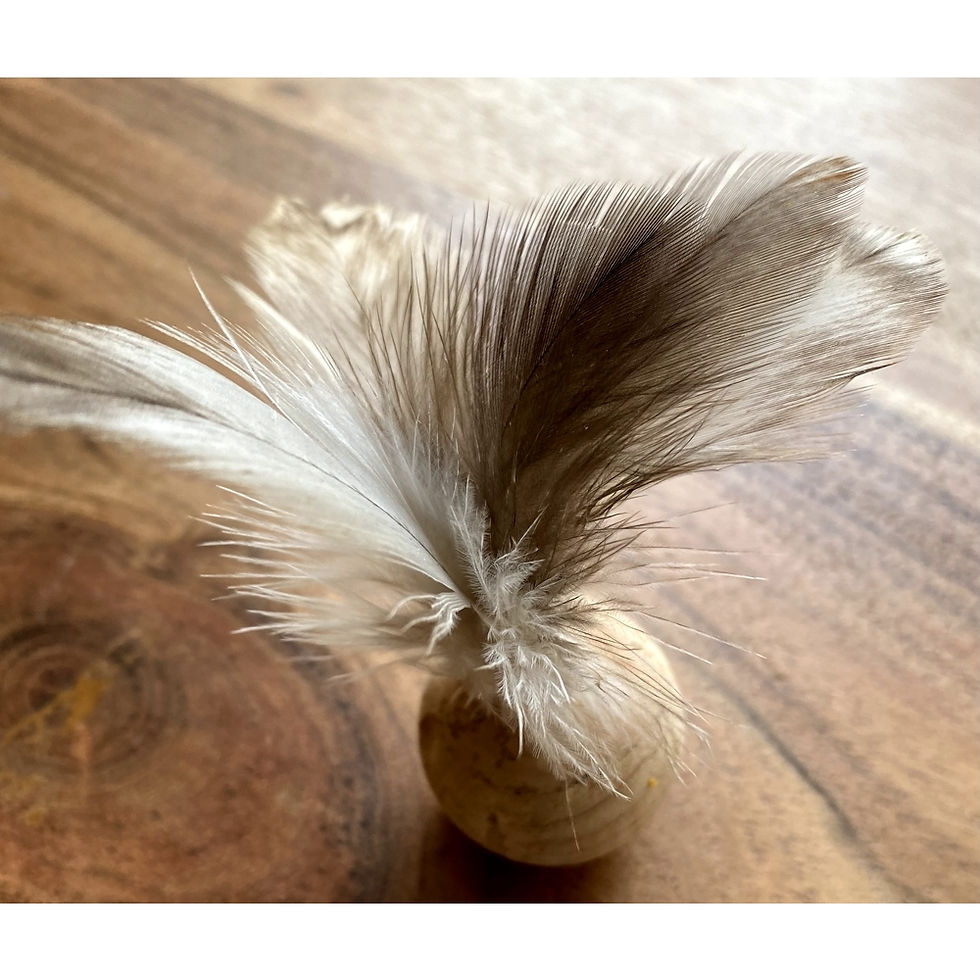 Cork with feathers Cat Toy by Whiskers N Paws