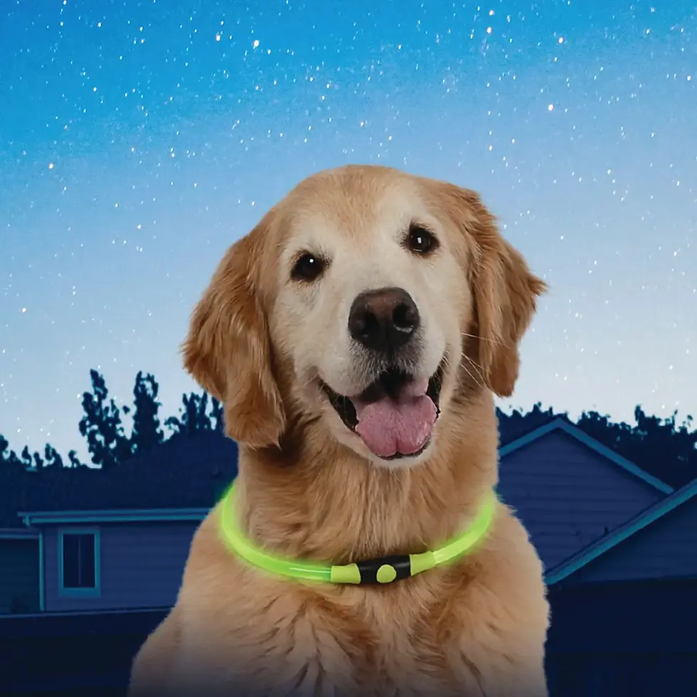 Thumbnail: Nite Ize Nitehowl™️ Led Safety Necklace for Pets