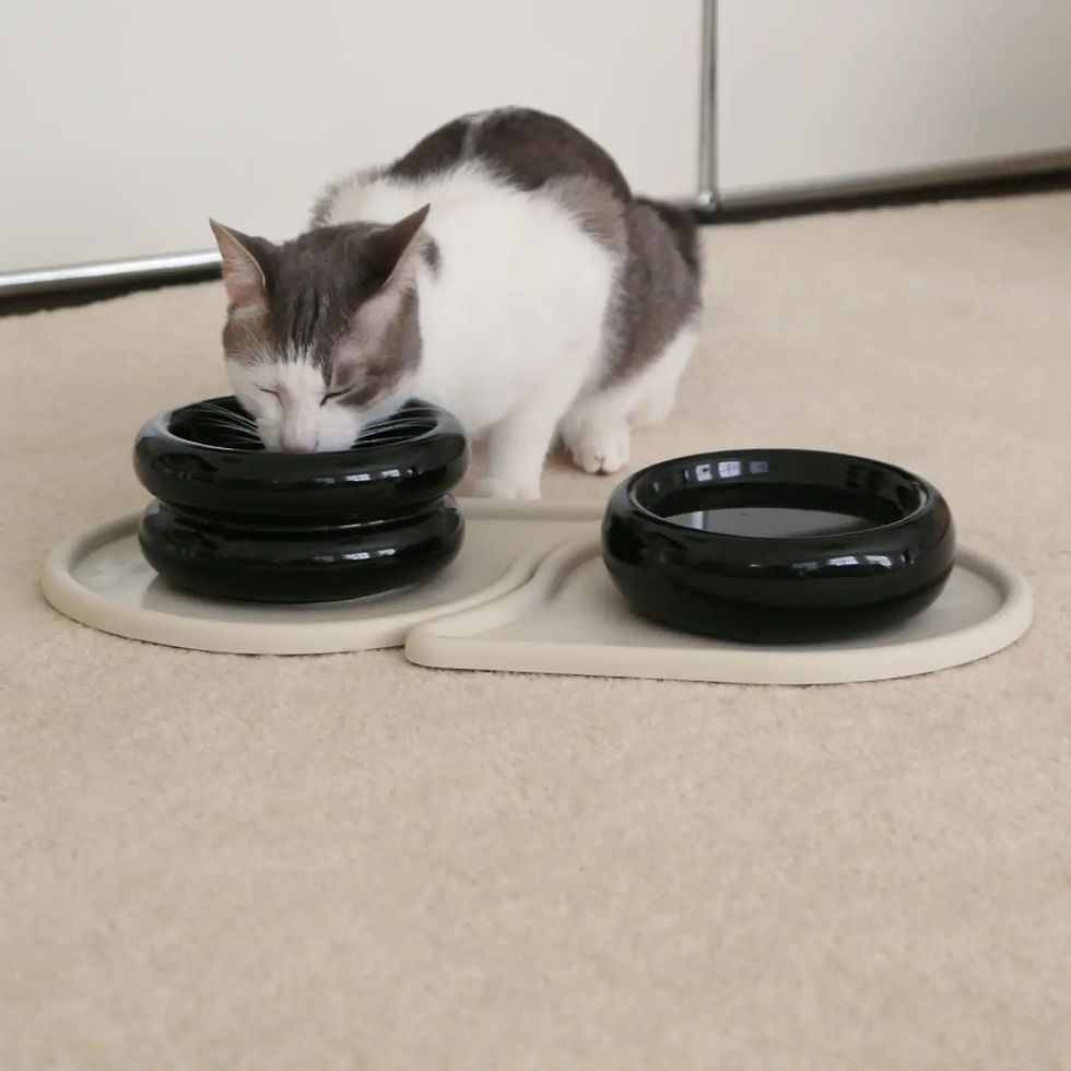 Thumbnail: Elevated Halo Pet Bowl in Onyx