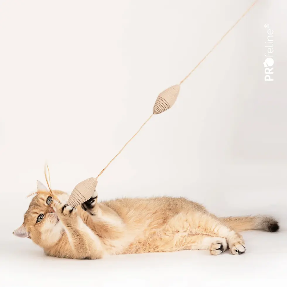 Thumbnail: Profeline - Cat Toy Rolling Cardboard Attachment