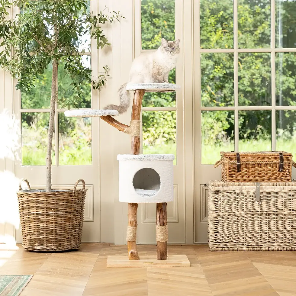 Thumbnail: Back To Nature the High Rise Cat Scratch Post