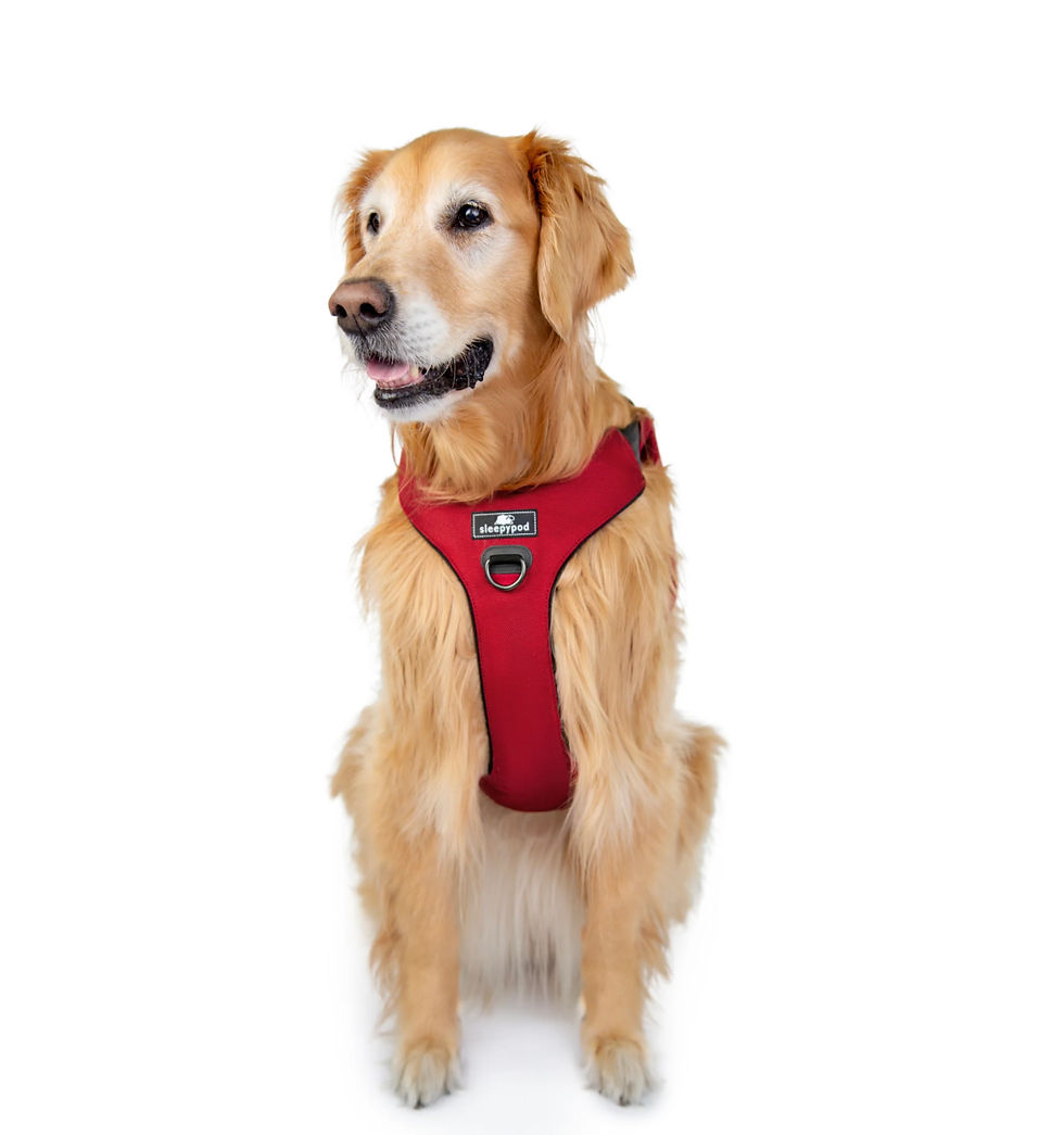 Thumbnail: New - Sleepypod Clickit Range - Car Safety Harness