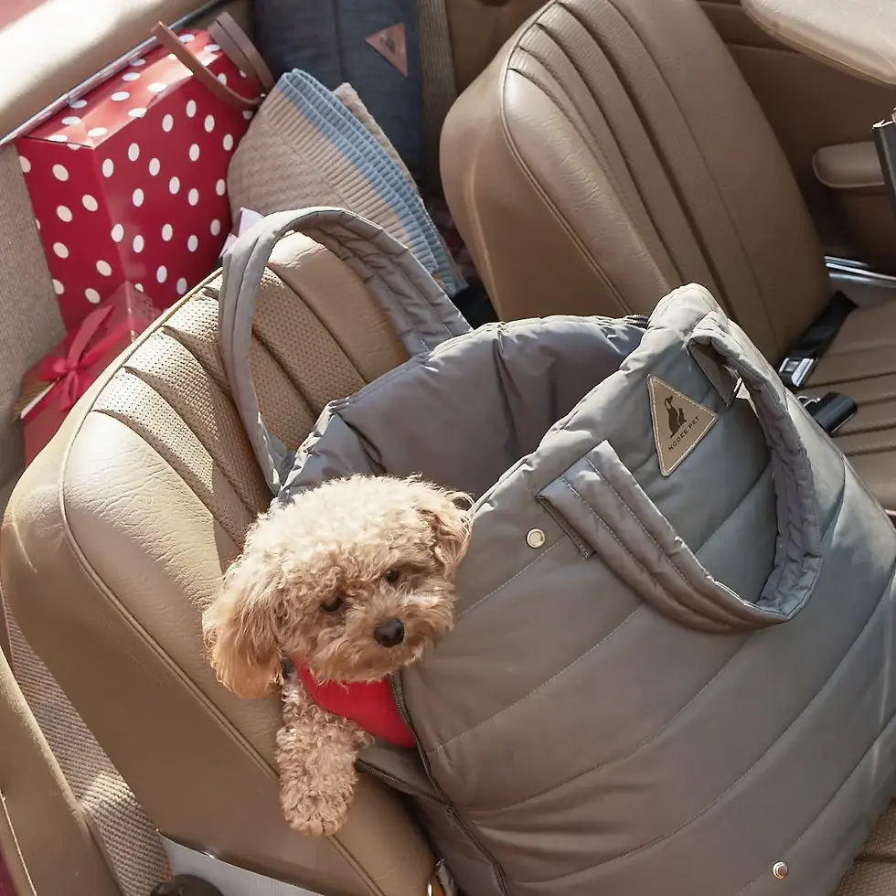 Pet Car Carrier by Nooee Pet