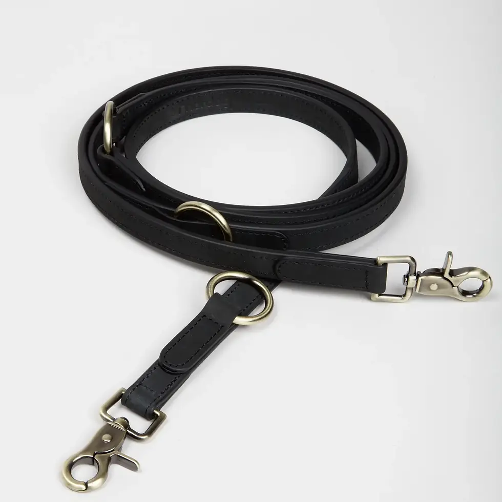 Thomas Dog Leash Coal