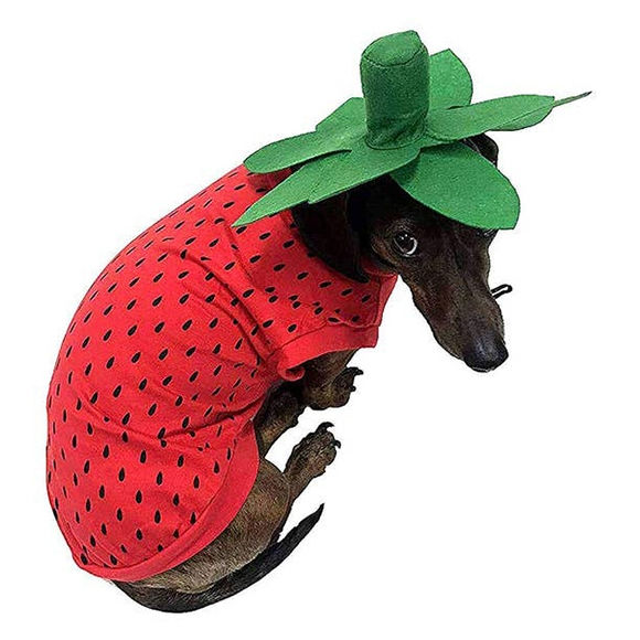STRAWBERRY OUTFIT FOR PETS