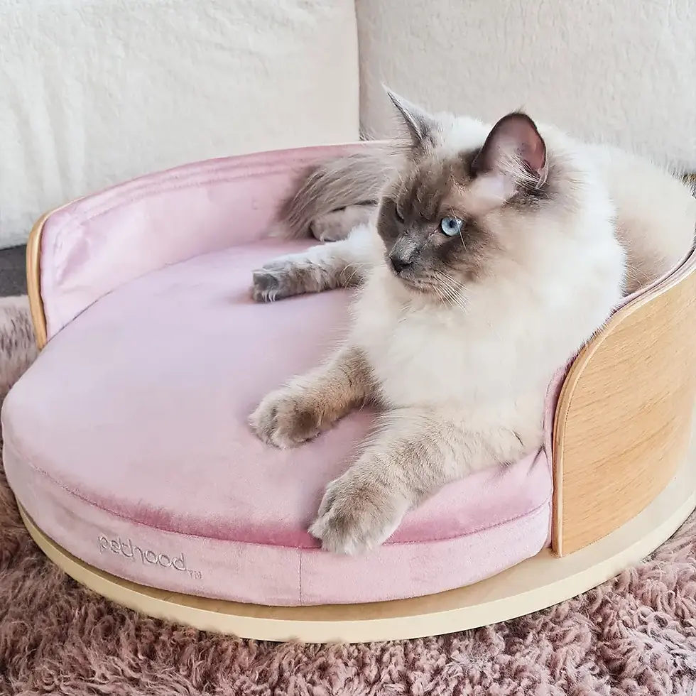 Thumbnail: Rumi Round Pet Bed Medium Velvet by Pethood 