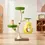 Thumbnail: Michu Verde Solid Wooded Base Cat Tree