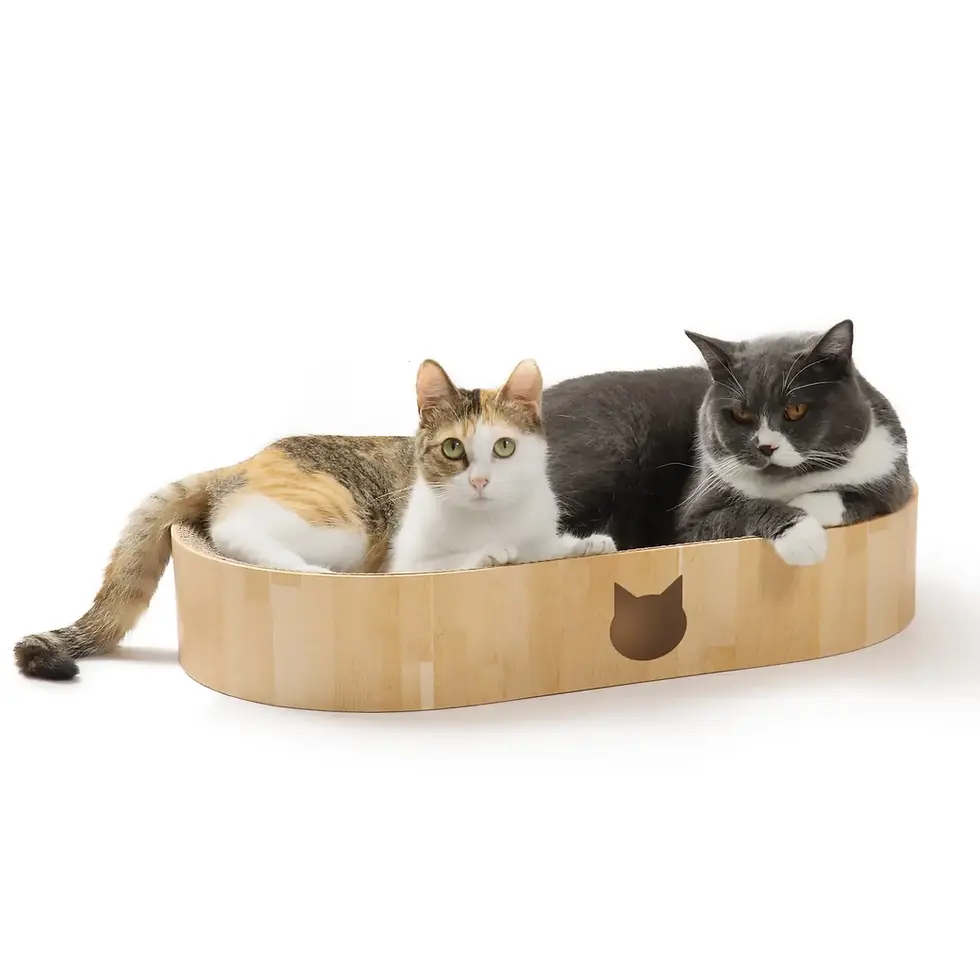 Thumbnail: Cozy Cat Scratcher Bowl Capsule by Necoichi