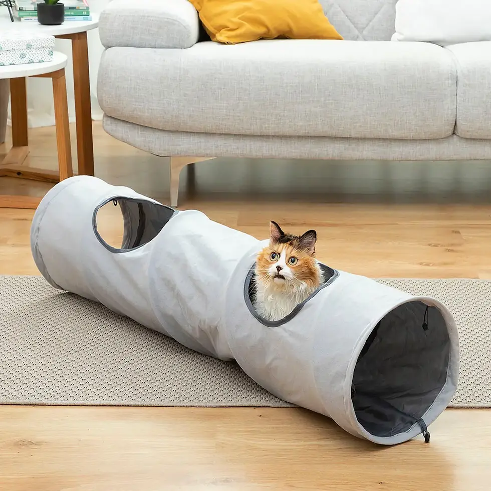 Thumbnail: Folding Pet Tunnel