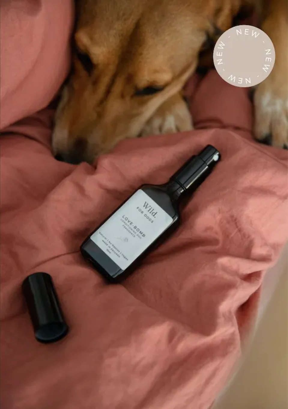 Love-Bomb Dog Fragrance - 50ml