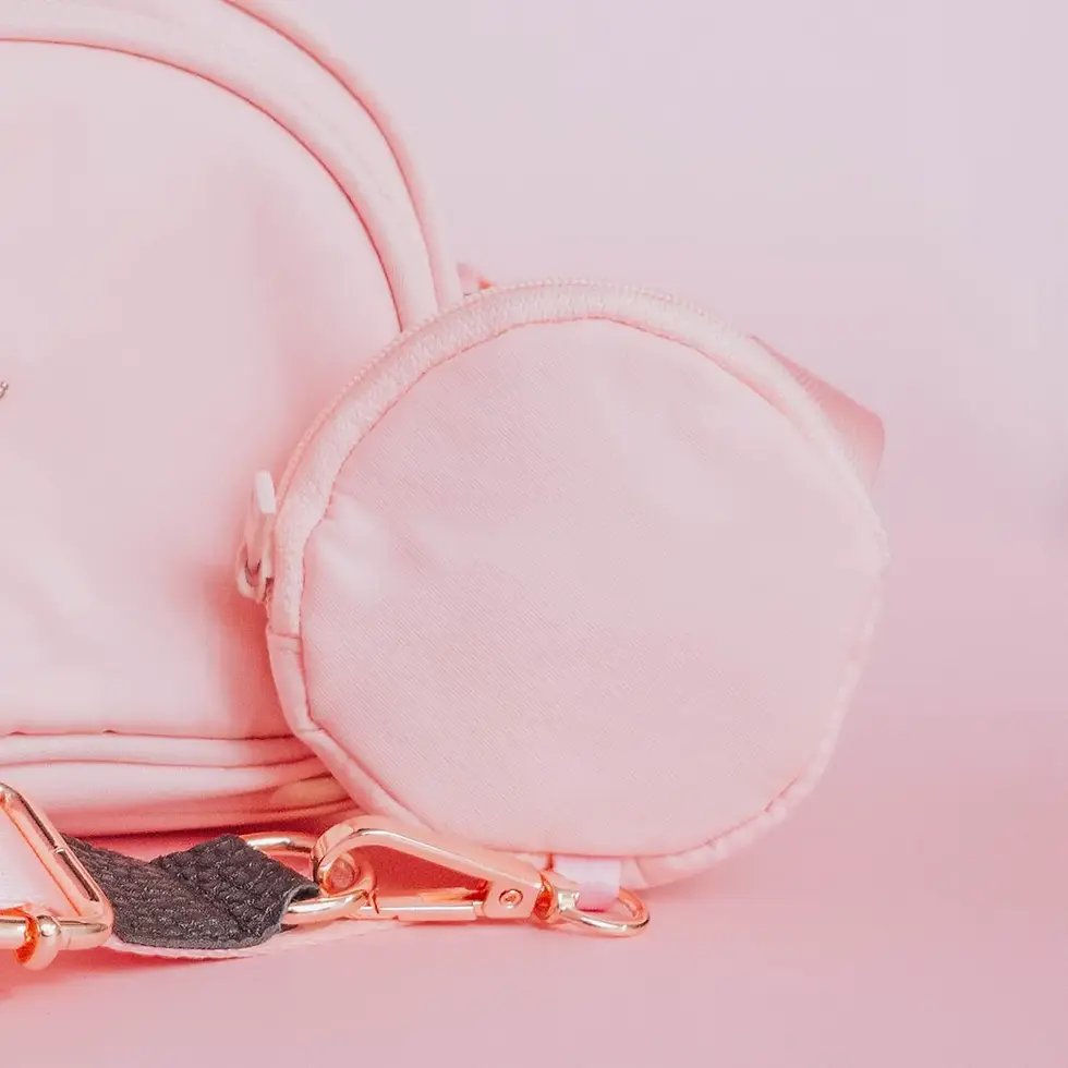 Thumbnail: Treat Pouch for Lead or Cross Body Bag 