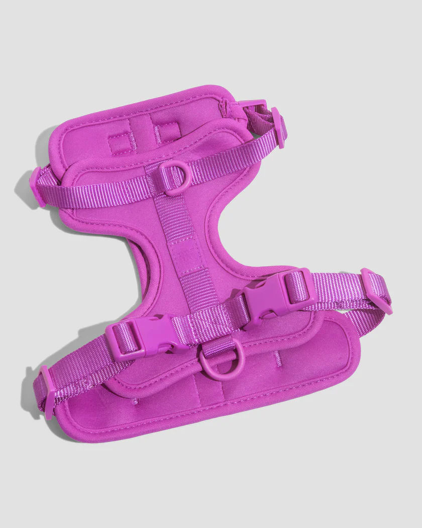 Thumbnail: Wild One Dog Harness 2.0 Limited Edition