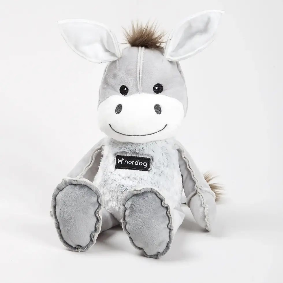 Dix the Donkey
