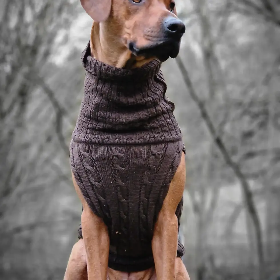 Thumbnail: Smarty 100 % Merino Wool Dog Jumper 