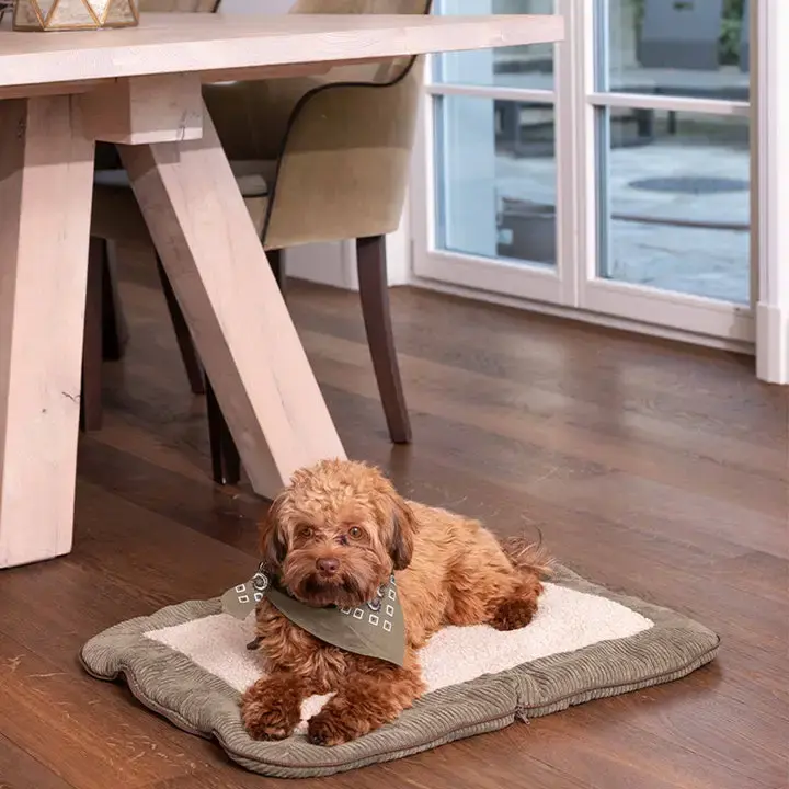 Thumbnail: Travel Pet Mat by Pet & Co Switzerland 
