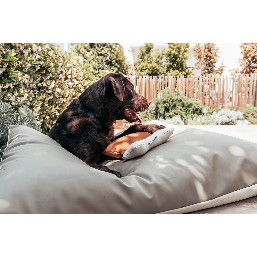 Thumbnail: Luxury pet bed by The Happy Nest