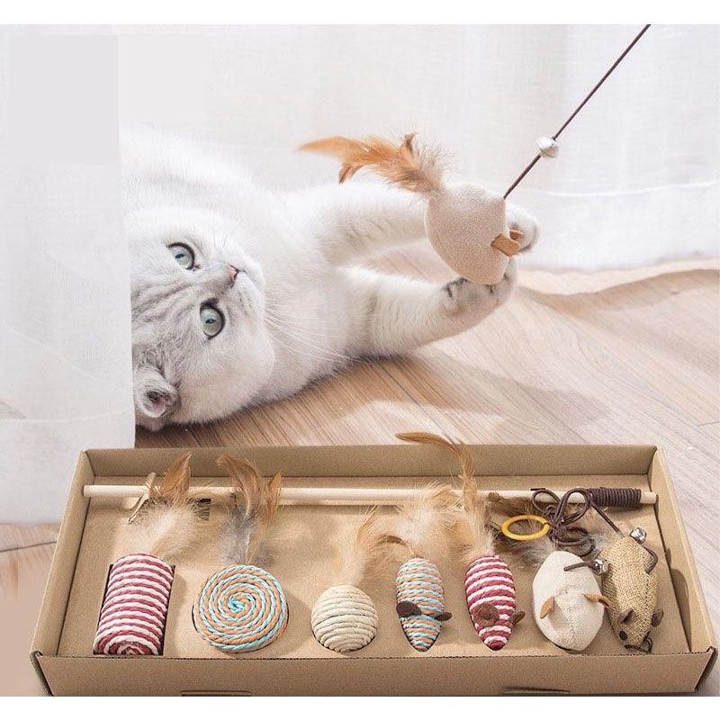 LOVELY GIFT BOX OF ECO CAT TOYS