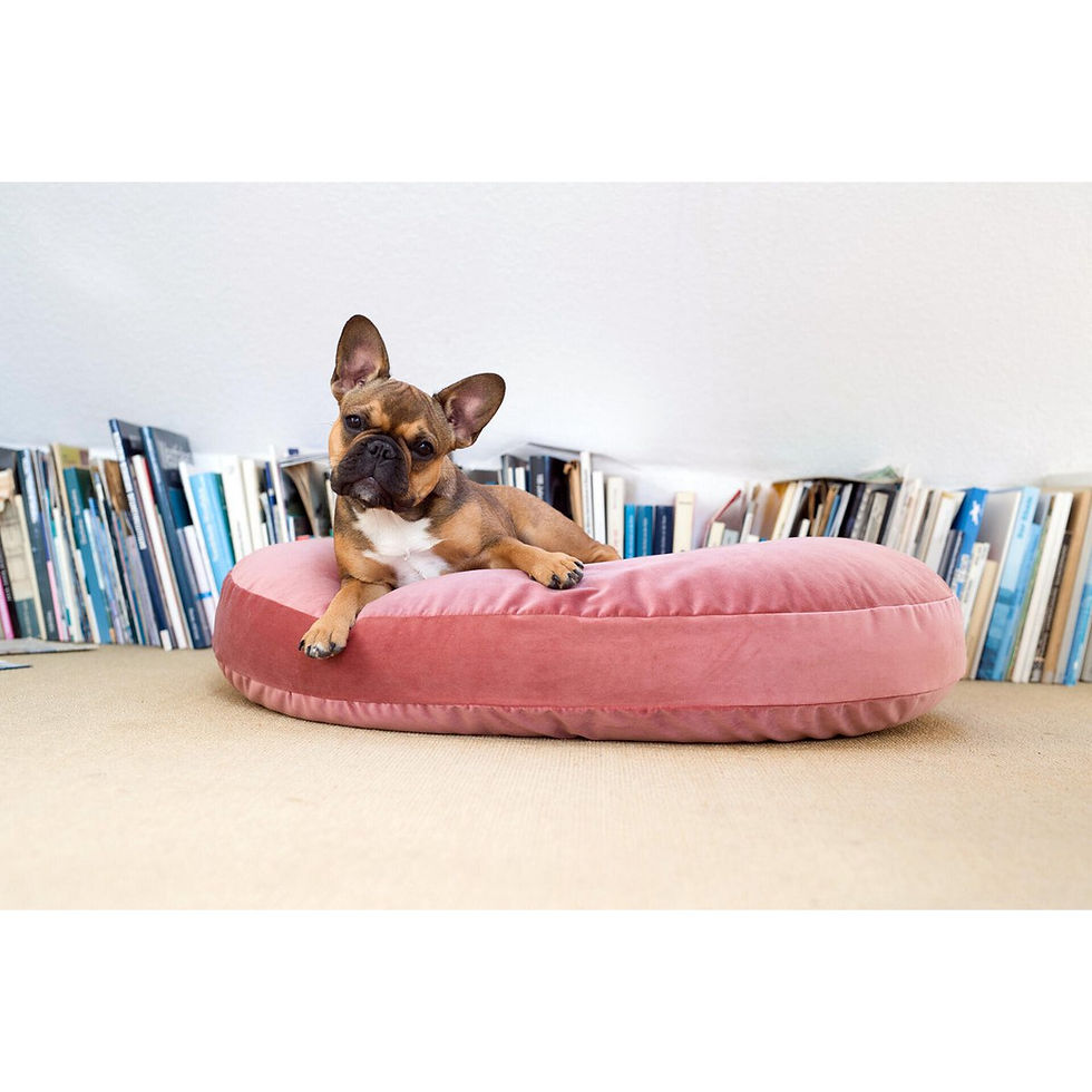 Thumbnail: VOGUE Design dog bed - by Laboni