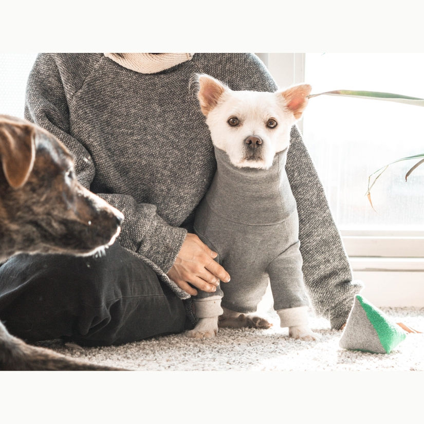 HIGH NECK JERSEY TEE FOR PETS