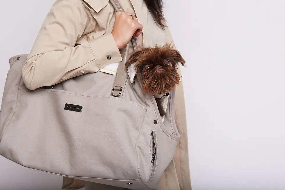 Thumbnail: Max Bone City Carrier Bag