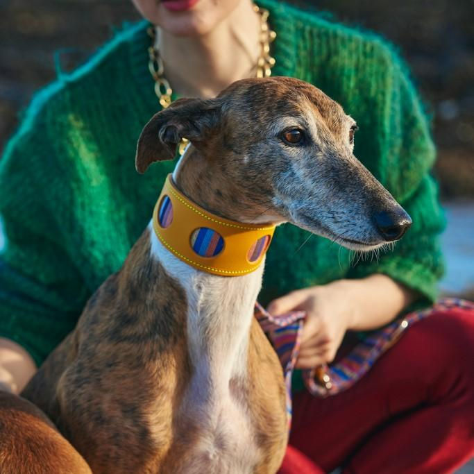 Thumbnail: LURCHER DOG COLLARS - By Hiro & Wolf